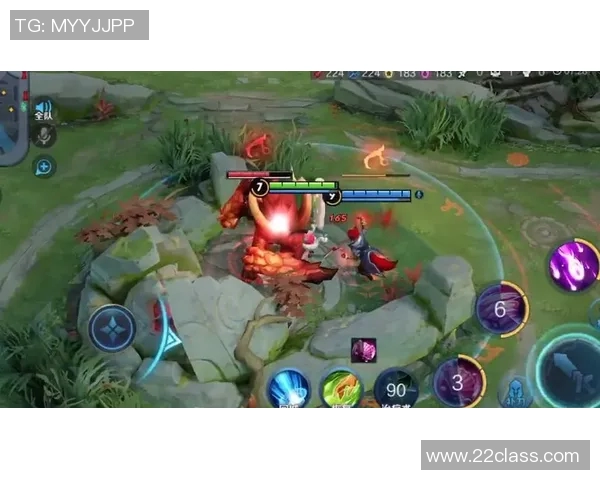 FPX战队灵活战术解析与王者荣耀赛场表现的深度剖析